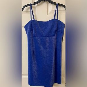 New! Wild Fable Party Dress Size:Large